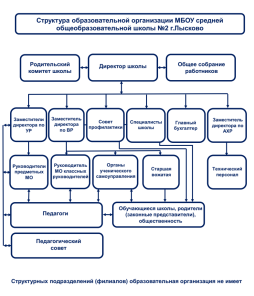 Структура образовательной организации МБОУ средней общеобразовательной школы №2 г.Лысково
